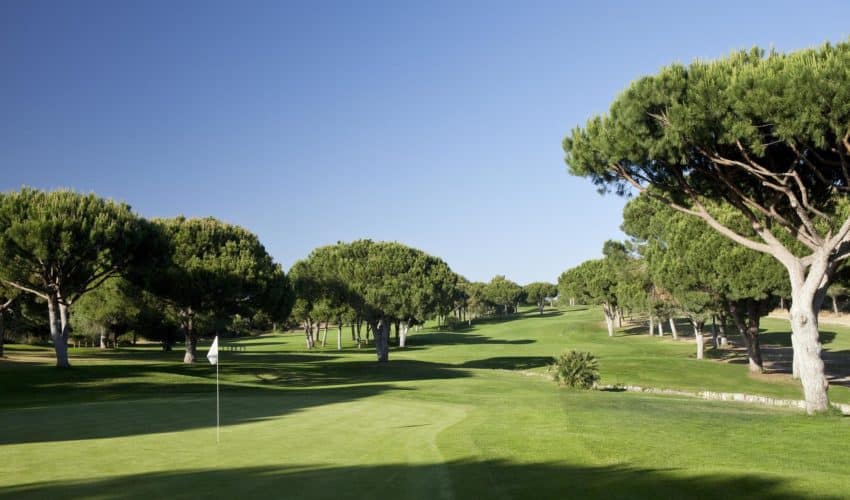 Dom Pedro Golf
