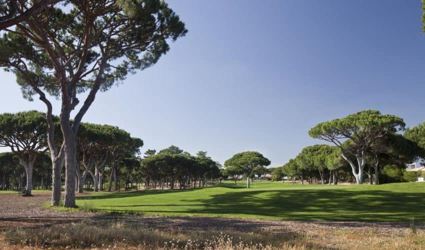 Dom Pedro Golf