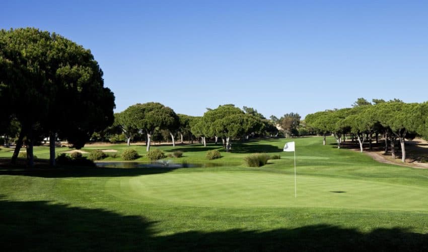 Dom Pedro Golf