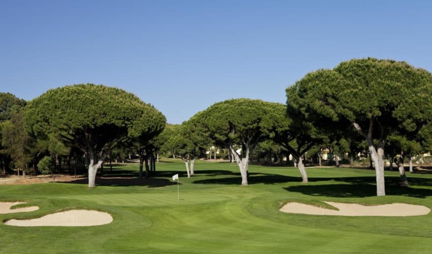 Dom Pedro Golf
