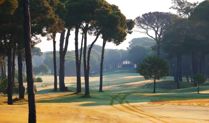 Gloria Golf