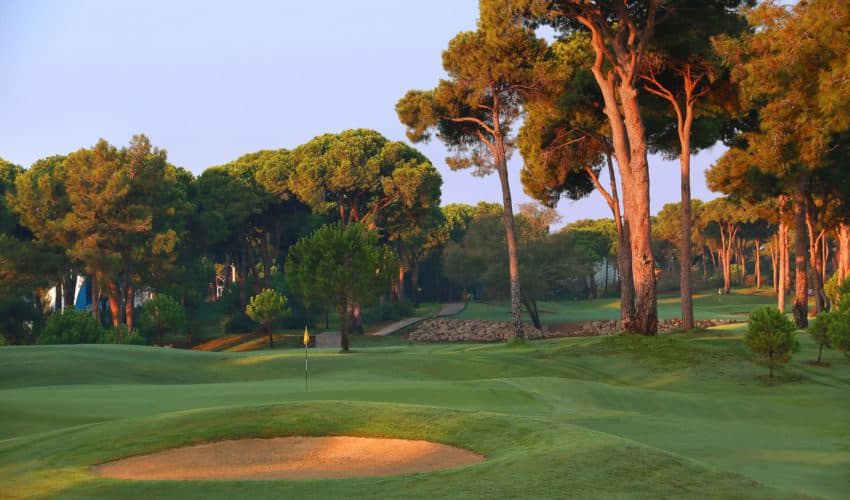Gloria Golf