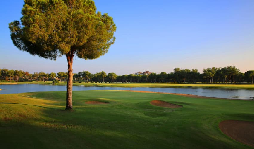 Gloria Golf