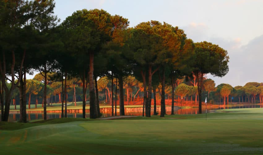 Gloria Golf