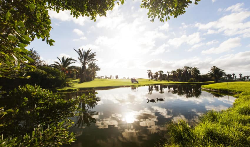 Golf del Sur