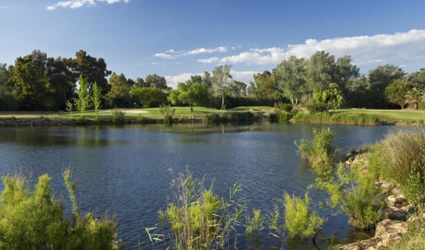 Dom Pedro Golf
