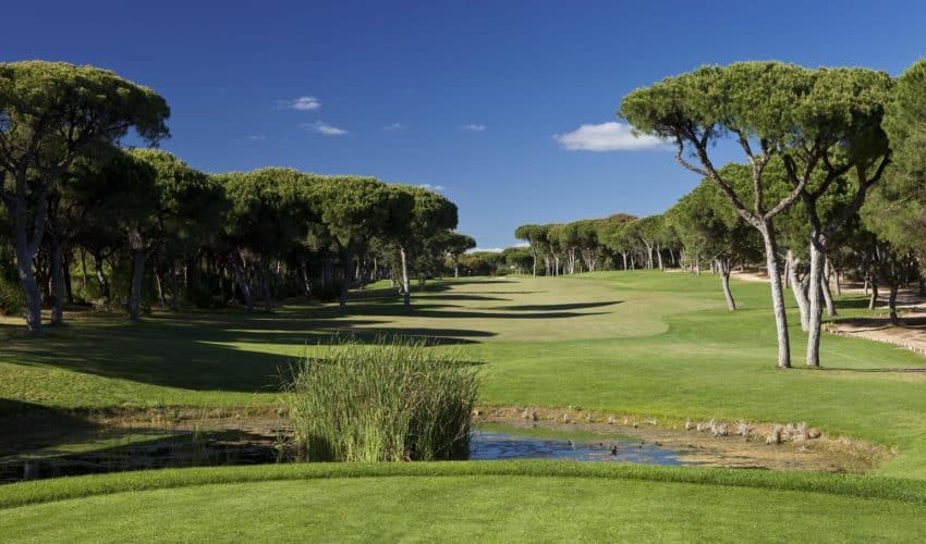 Dom Pedro Golf