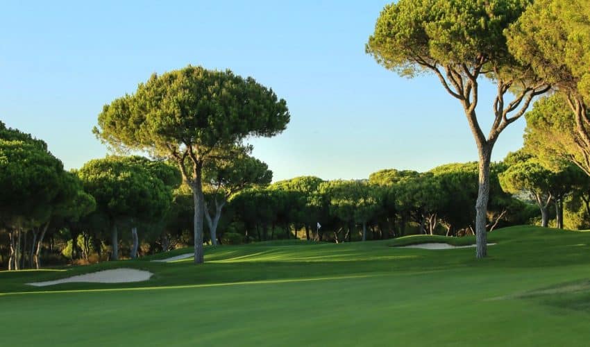 Dom Pedro Golf
