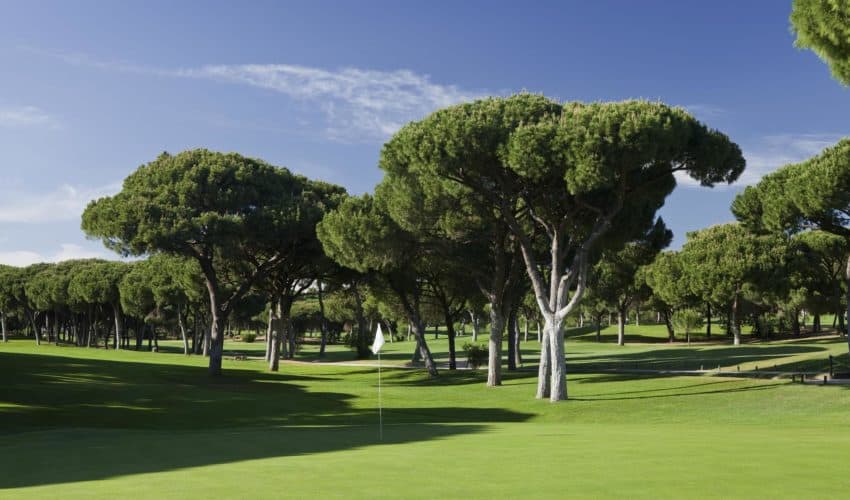 Dom Pedro Golf