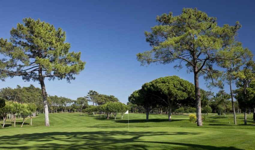 Dom Pedro Golf