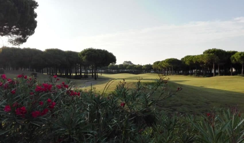Sancti Petri Hills G