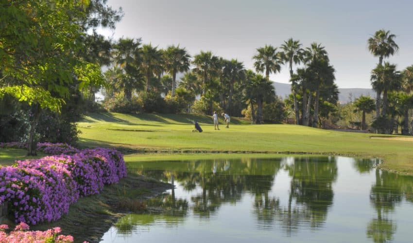 Golf Las Americas